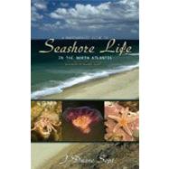 A Photographic Guide to Seashore Life in the North Atlantic by Sept, J. Duane, 9780691133195