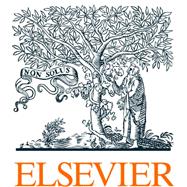 Sinclair NSG 1400 by Elsevier, 9780443213212