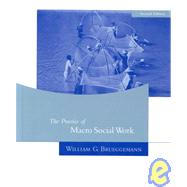 The Practice of Macro Social Work by Brueggemann, William G., 9780534573225