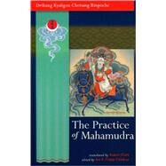 The Practice Of Mahamudra by Chetsang, Drikung Kyabgon; Clark, Robert, 9781559393232
