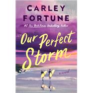Our Perfect Storm by Fortune, Carley, 9780593953242