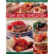 The Practical Encyclopedia of Fish and Shellfish A Complete Guide To Types, Their Preparation And Cooking Techniques, With 100 Classic Recipes Shown Step By Step In 700 Beautiful Photographs by Whiteman, Kate, 9781780193250