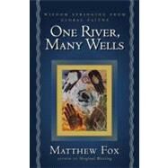 One River, Many Wells by Fox, Matthew, 9781585423262