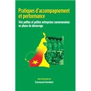 Pratiques d'accompagnement et performance by Kamden, Emmanuel, 9782869783263