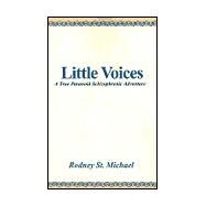 Little Voices : A True Paranoid Schizophrenic Adventure by St. Michael, Rodney, 9780738823270