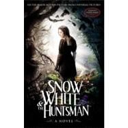 Snow White & the Huntsman by Blake, Lily; Daugherty, Evan; Hancock, John Lee; Amini, Hossein, 9780316213271
