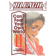 Bleach: Can't Fear Your Own World, Vol. 2 by Narita, Ryohgo; Kubo, Tite; Cash, Jan Mitsuko, 9781974713271