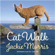 Cat Walk by Morris, Jackie, 9781909823273
