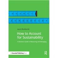 How to Account for Sustainability by Musikanski, Laura, 9781909293274