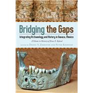 Bridging the Gaps by Zborover, Danny; Kroefges, Peter C., 9781607323280