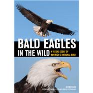 Bald Eagles in the Wild by Rich, Jeffrey, 9781682033289