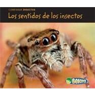 Los sentidos de los insectos / Bug Senses by Guillain, Charlotte, 9781432943301