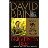 Brightness Reef by BRIN, DAVID, 9780553573305