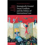 Strategically Created Treaty Conflicts and the Politics of International Law by Ranganathan, Surabhi, 9781107043305