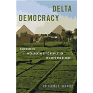 Delta Democracy Pathways to Incremental Civic Revolution in Egypt and Beyond by Herrold, Catherine E., 9780190093310