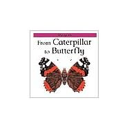 From Caterpillar to Butterfly by Legg, Gerald, 9780531153321