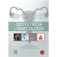 Obstetricia y Ginecologa by Anibal Nieto Daz; Juan Manuel Quionero Rubio; Pedro Antonio Cascales Campos, 9788413823324