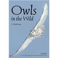Owls in the Wild by Palmer, Rob, 9781682033340
