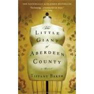 The Little Giant of Aberdeen County by Baker, Tiffany, 9780446543347