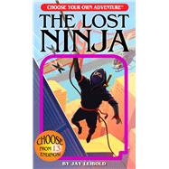 The Lost Ninja by Leibold, Jay; Nugent, Suzanne, 9781937133351