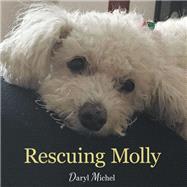Rescuing Molly by Michel, Daryl, 9781973673354