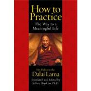How to Practice The Way to a Meaningful Life by Dalai Lama, His Holiness the; Hopkins, Jeffrey; Hopkins, Jeffrey, 9780743453363