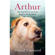 Arthur by Lindnord, Mikael, 9781771643375