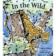 In the Wild by Elliott, David; Meade, Holly, 9780763663377
