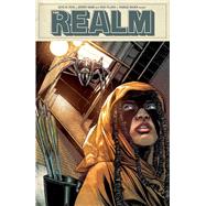 The Realm 3 by Haun, Jeremy (CRT); Peck, Seth M. (ART); Filardi, Nick (ART); Mauer, Thomas (ART); Enos, Joel, 9781534313378