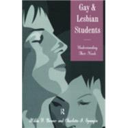 Gay And Lesbian Students: Understanding Their Needs by Besner,Hilda F., 9781560323389