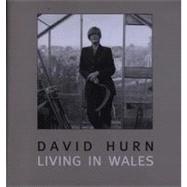 Living in Wales by Hurn, David; Jones, Anthony, 9781854113399