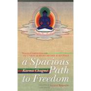A Spacious Path to Freedom Practical Instructions on the Union of Mahamudra and Atiyoga by Chagme, Karma; Gyatrul Rinpoche, 9781559393409