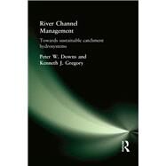 River Channel Management: Towards sustainable catchment hydrosystems by Downs,Peter, 9781138173415