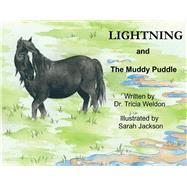 Lightning and the Muddy Puddle by Weldon, Tricia; Jackson, Sarah, 9780578373430