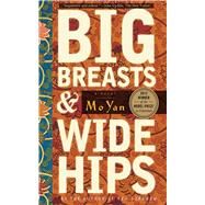 BIG BREASTS & WIDE HIPS PA by MO,YAN, 9781611453430