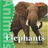 Elephants by Schwabacher, Martin; Mortensen, Lori, 9780761443438