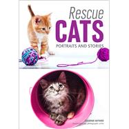 Rescue Cats by Maynard, Susannah, 9781682033449