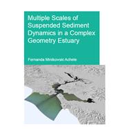 Multiple Scales of Suspended Sediment Dynamics in a Complex Geometry Estuary by Achete, Fernanda Minikowski, 9781138373457