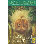 The Wizard in the Tree by Alexander, Lloyd; Kubinyi, Laszlo, 9781439553459