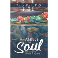 Healing the Soul by Faith, Tristan, Ph.d., 9781532023460