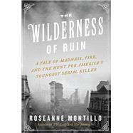 The Wilderness of Ruin by Montillo, Roseanne, 9780062273482