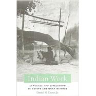 Indian Work by Usner, Daniel H., Jr., 9780674033498