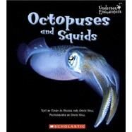 Octopuses and Squids (Undersea Encounters) by Rhodes, Mary Jo; Hall, David, 9780516253503