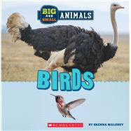 Birds (Wild World: Big and Small Animals) by Maloney, Brenna, 9781338853506