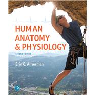 Human Anatomy & Physiology by Amerman, Erin C., 9780134553511
