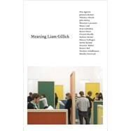 Meaning Liam Gillick by Szewczyk, Monika, 9780262513517