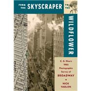 From the Skyscraper to the Wildflower by Nick Yablon, 9780231203524