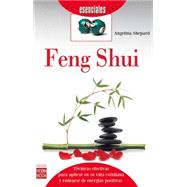 Feng Shui by Shepard, Angelina, 9788499173528