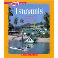 Tsunamis (A True Book: Earth Science) by Stiefel, Chana, 9780531213537