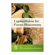 Lignocellulose for Future Bioeconomy by Ariffin, Hidayah; Sapuan, S. M.; Hassan, Mohd Ali, 9780128163542
